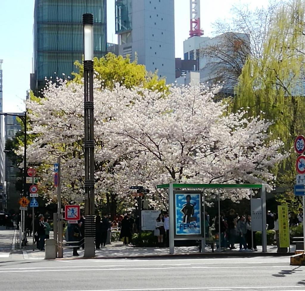  花之银座数寄屋桥公园
　　～ Relaxation on holidays ～