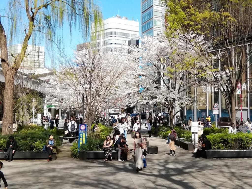  花之银座数寄屋桥公园
　　～ Relaxation on holidays ～