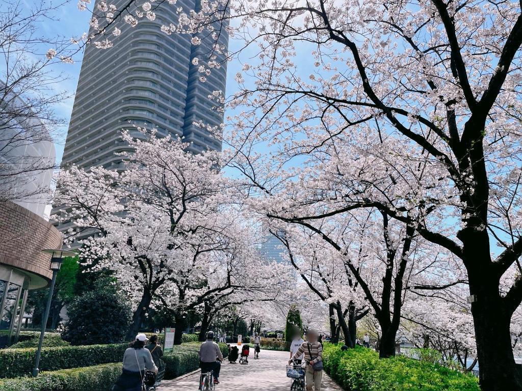  隅田川阳台的“推荐”赏花景点