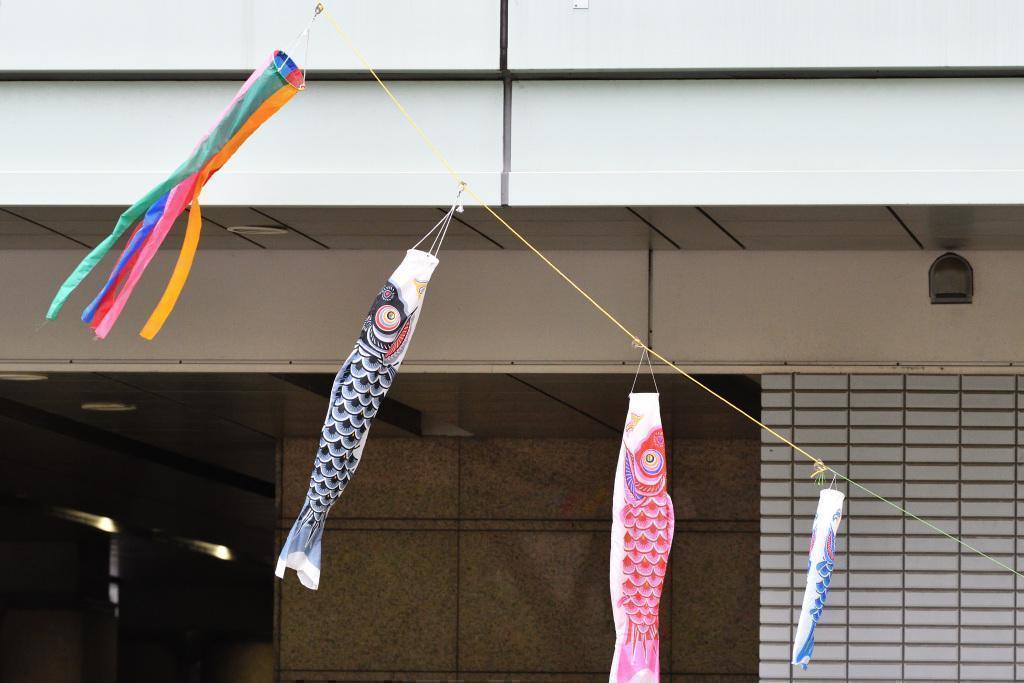  KOINOBORI swim in the sky of May