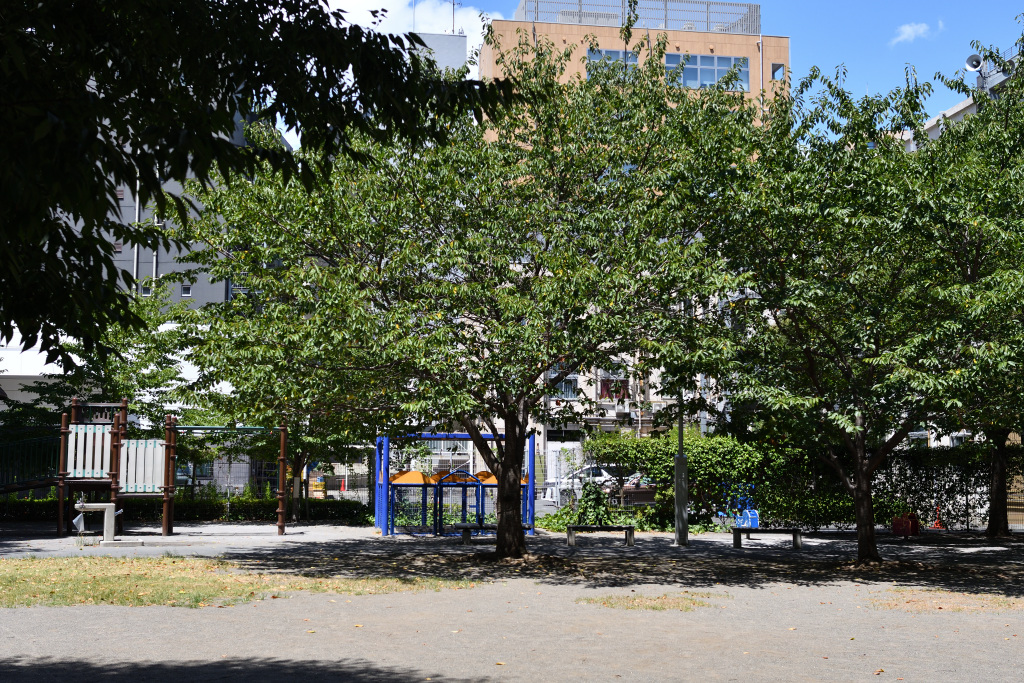  Trees for children who live in Chuo Ward