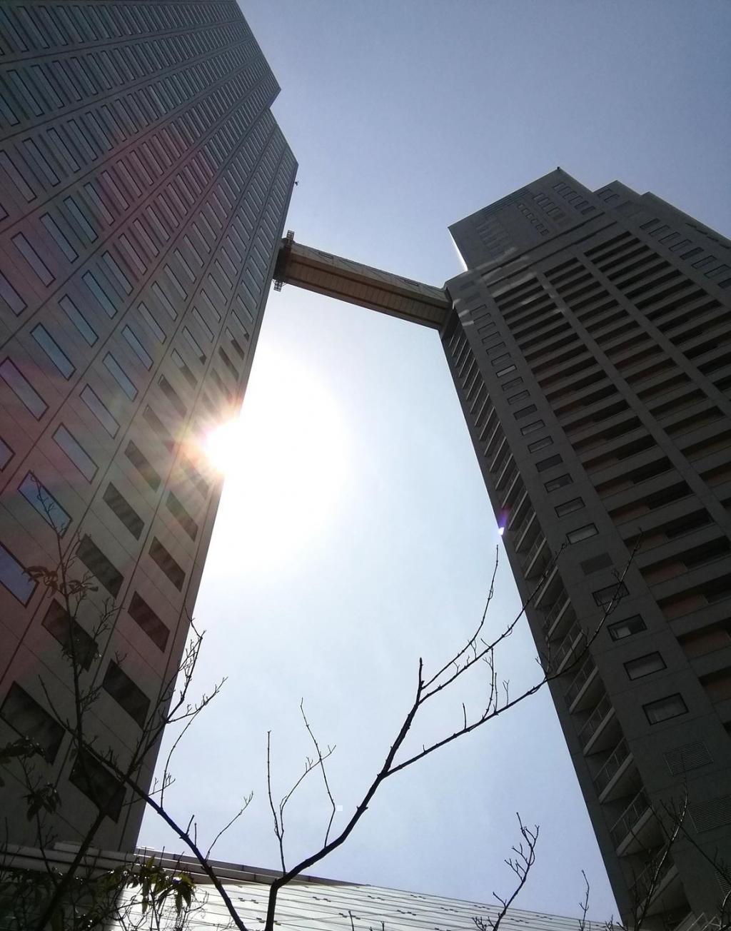  Looking up at high-rise building
　-仰望高层建筑-1
　　～圣路加圣卢克斯塔・圣路加住宅～