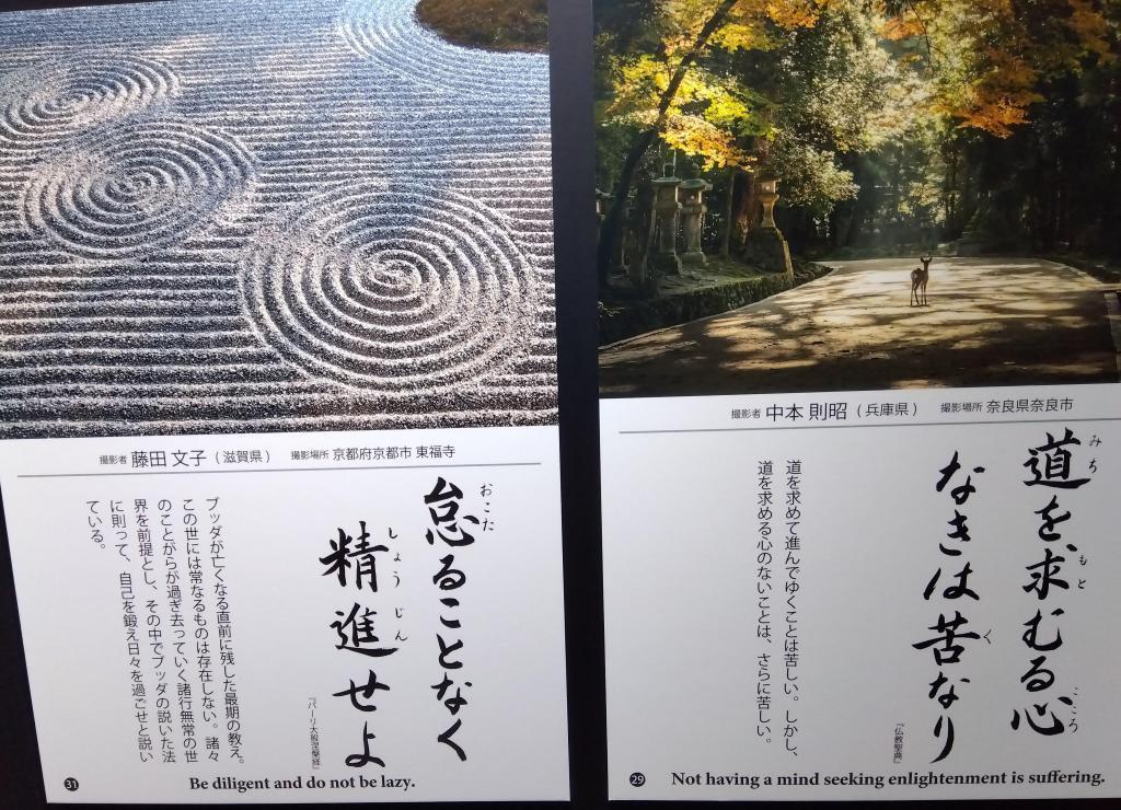 人生中漫长的人生训用照片来说教(刊登到10月末为止)筑地本愿寺摄影测试11/7正在举办中