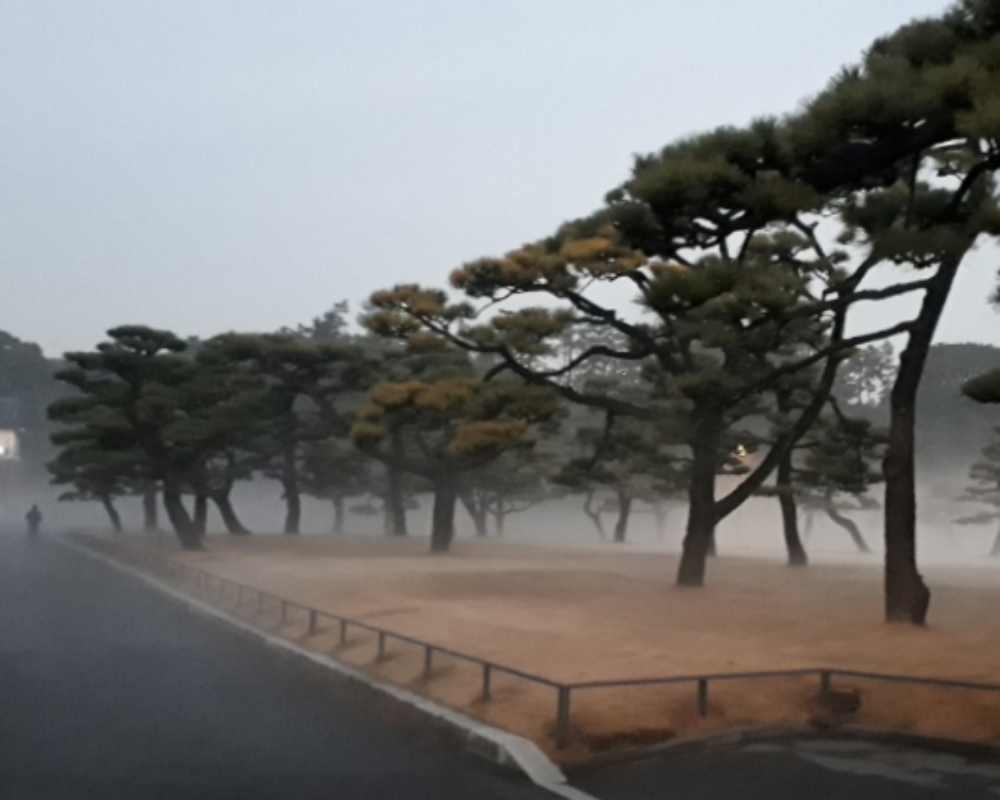 如果桃太郎的舞台是中央区的话......卷