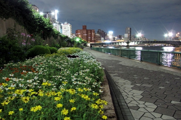  稍稍凉快的隅田川