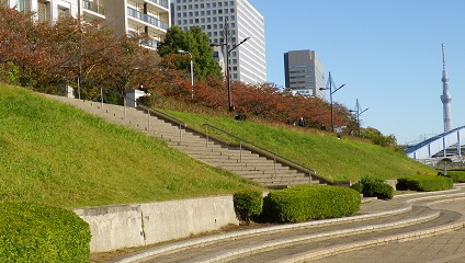  秋天的新川公园