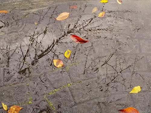  如果下雨的话,中央区