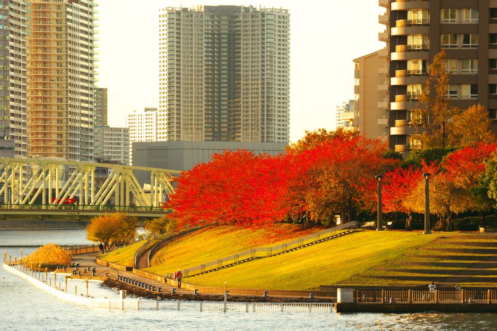 石川岛公园附近隅田川阳台的秋季遗迹